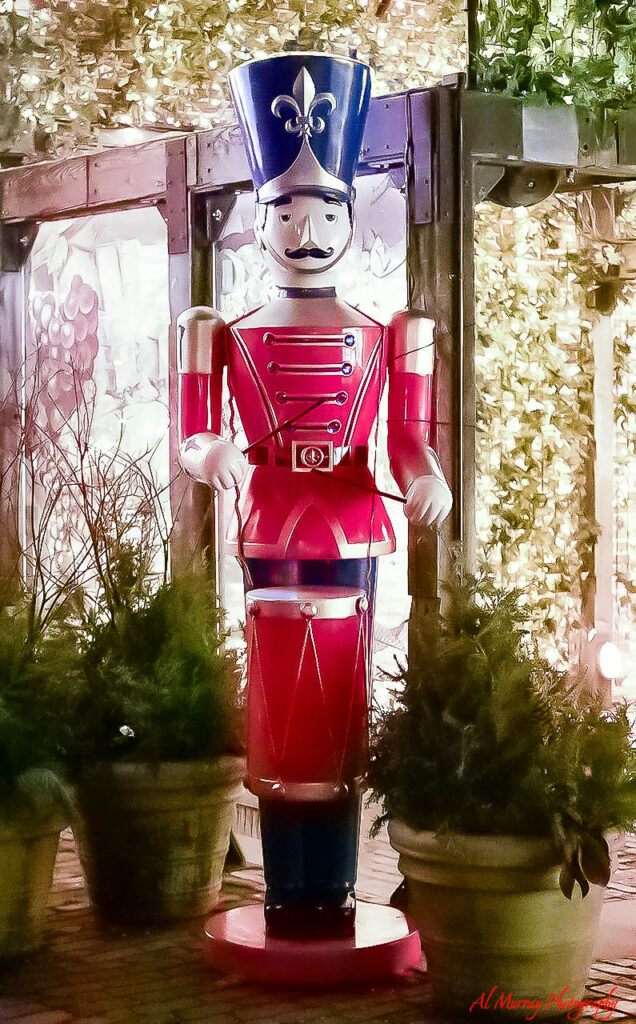 20201211distillery drummer-Toronto-2.jpg