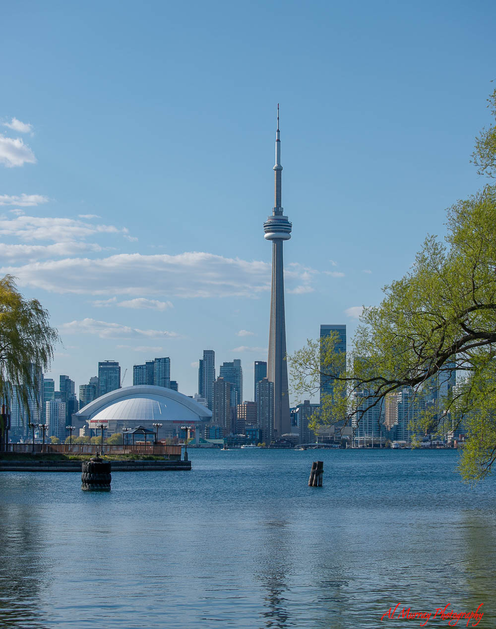 20210514_MG_1681-Toronto-2.jpg