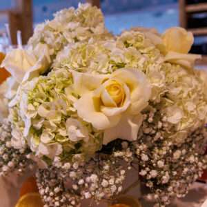 Photography 20240919_T3A2886 from Amazon